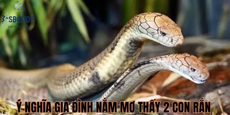 Ý nghĩa về gia đình